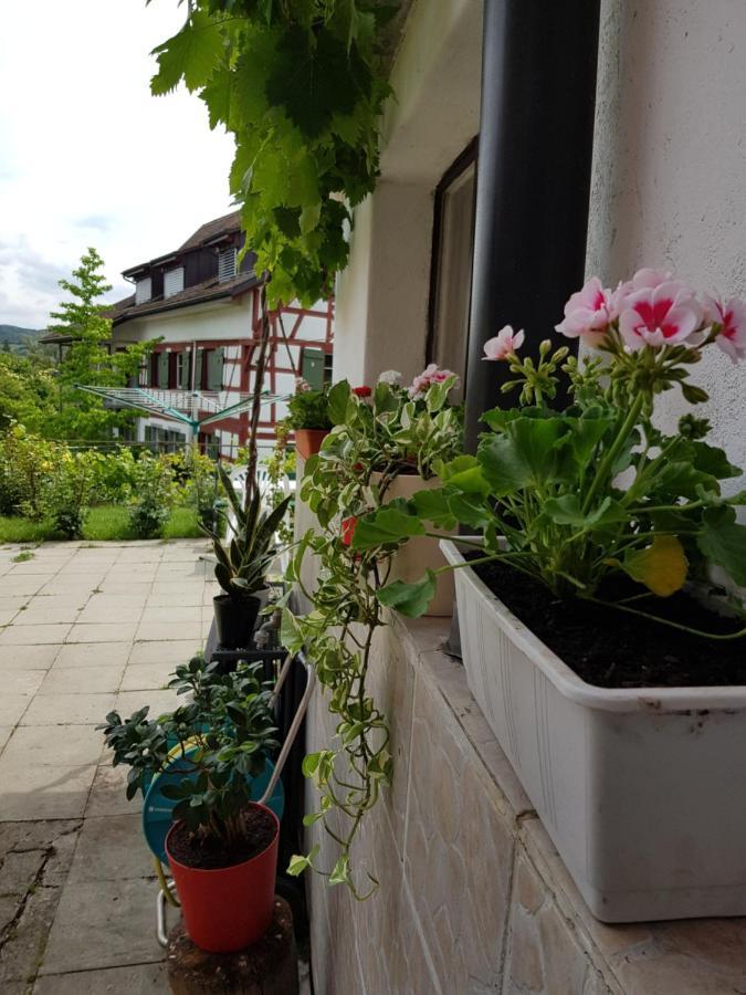 Garni-Hotel Muehletal Stein Am Rhein Dış mekan fotoğraf